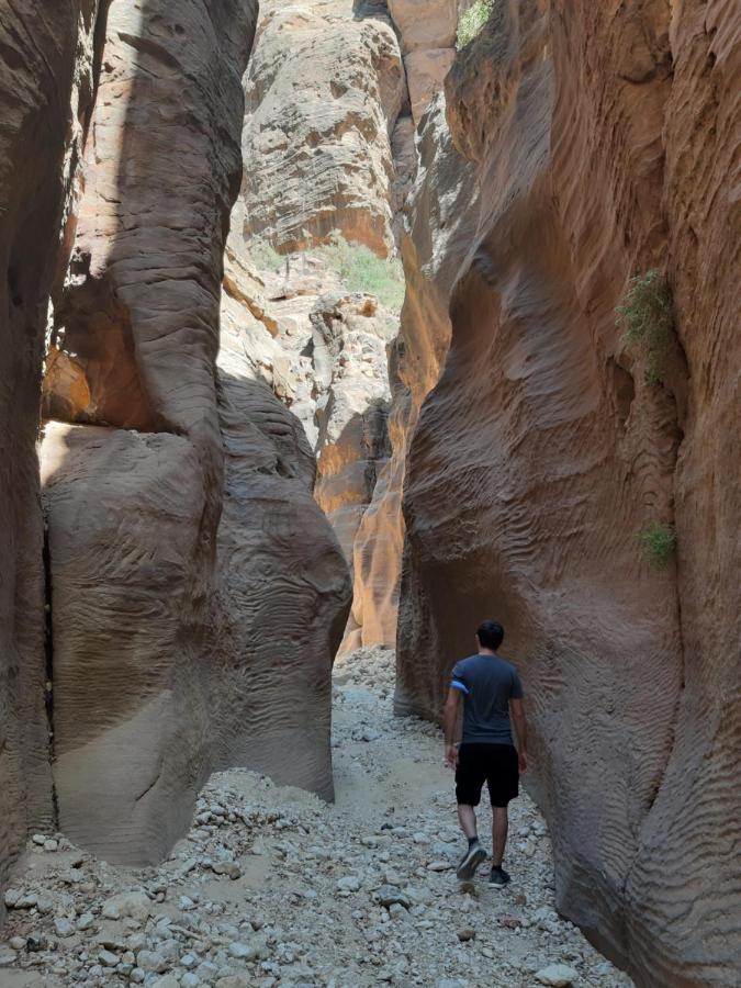 The Rock Camp Petra Hotel Вади Муса Екстериор снимка