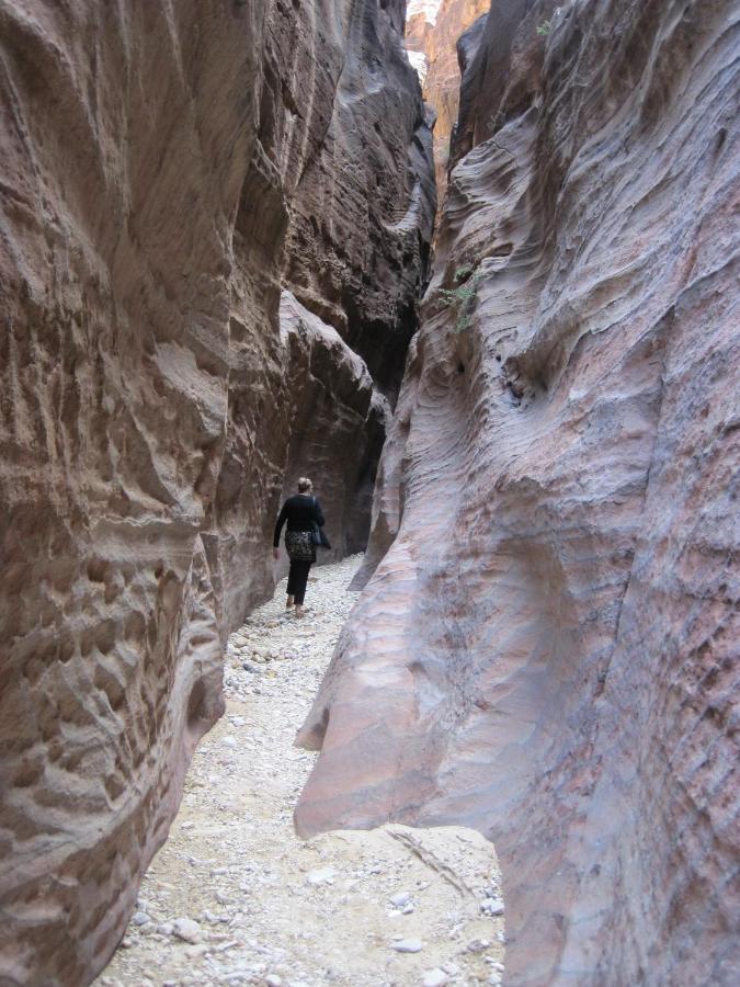 The Rock Camp Petra Hotel Вади Муса Екстериор снимка